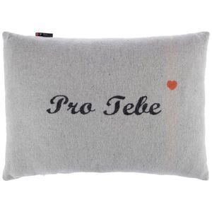 David Fussenegger DEKORAČNÝ VANKÚŠ 40/60 cm vyobraziť