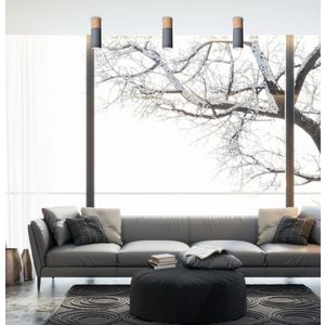 Stropná lampa zo sivej drevenej ocele, 6, 8 x 20 cm, trubica vyobraziť