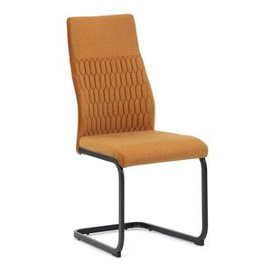 Jedálenská stolička DCL-X7018 Autronic vyobraziť