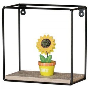 Nástenná polica P-06/2 Autronic vyobraziť