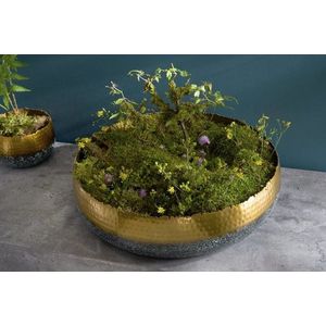 Dekoračná misa ABAS Dekorhome vyobraziť