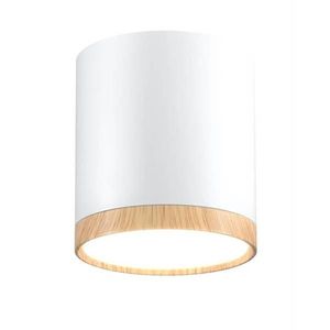 Stropné svetlo TUBA LED Candellux vyobraziť