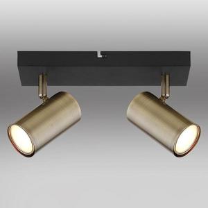 Stropné bodové svietidlo 57911-2M LS2 vyobraziť