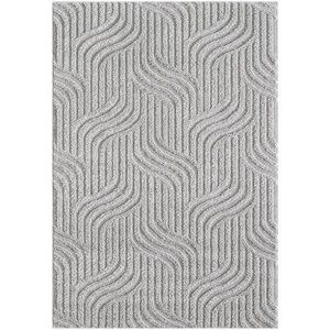 Koberec Art 1, 9/2, 7 FR2673 sivý vyobraziť