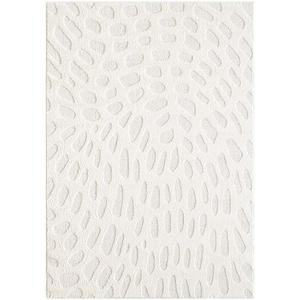 Koberec Alba 1, 6/2, 3 FR2561 krémový vyobraziť