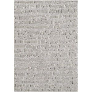 Koberec Alba 1, 33/1, 9 FR2522 sivý vyobraziť