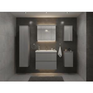 Sivý lesk vyobraziť