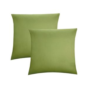 Biberna Džersejová obliečka na vankúš, 2 kusy (zelená, 80 x 80 cm) vyobraziť