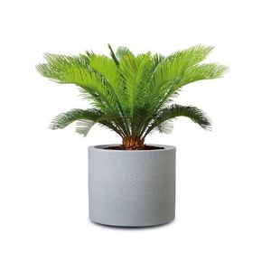 Scheurich Kvetináč Riva (kamenistá sivá, Ø 50 cm) vyobraziť