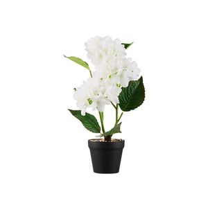 LIVARNO home Umelá rastlina (hortenzia) vyobraziť