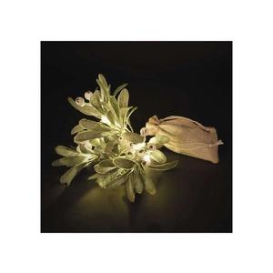 Dekorácia vianočná EMOS DCTW29 vetvička imelo vyobraziť