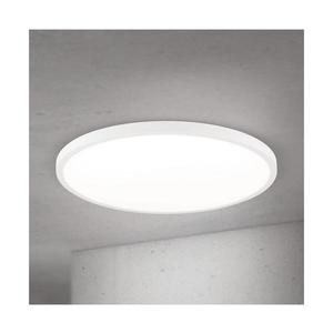 Orion - LED stmievateľné stropné svietidlo DISC LED/46W/230V 2700/3000/4000K pr. 60 cm biela DL 7-705/60 weiß vyobraziť