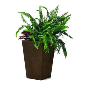 Plastový obal na kvetináč Rattan – Keter vyobraziť