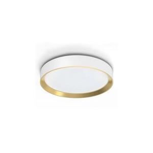 Philips - LED Stmievateľné stropné svietidlo HANNO LED/24W/230V 4000K biela 8720169301399 vyobraziť