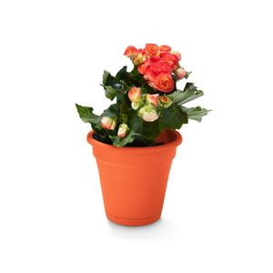 Kvetináč s držiakom na zavesenie na balkón vyobraziť