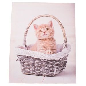 Obraz na plátne Kittie in basket, 30 x 40 cm vyobraziť
