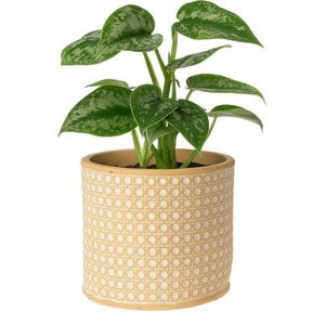 Obal na kvetináč Landon, 14 x 13 cm, betón vyobraziť