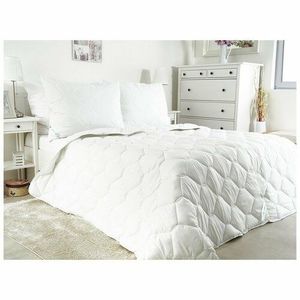 B.E.S. Petrovice Set prikrývky a vankúša Bella Optimal Aloe vera, 140 x 200 cm, 70 x 90 cm vyobraziť