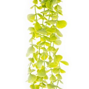 Umelý krík drobnolistý Eukalyptus, sv. zelená, 120 cm vyobraziť