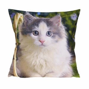 Forbyt Obliečka na vankúš Mačiatko, 40 x 40 cm vyobraziť