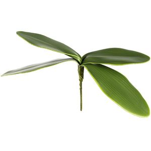 Umelý List orchidey, v. 20 cm vyobraziť