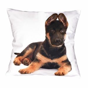 Forbyt Obliečka na vankúš Rexík, 40 x 40 cm vyobraziť