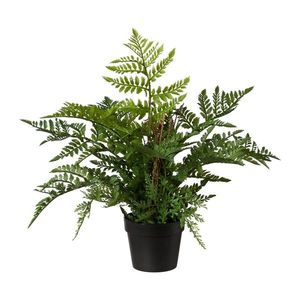 Umelé papradie, 35 cm vyobraziť