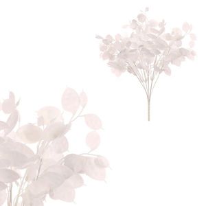 Súprava Trs s peniazkovými lístkami, 2 ks, biela, 39 cm vyobraziť