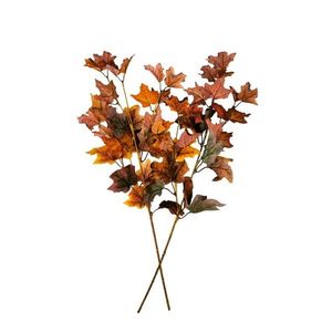 Súprava vetiev Javor 72 cm, 2 ks vyobraziť