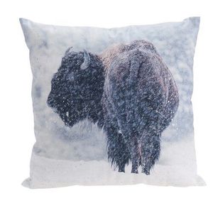 Vankúšik Bizón, 45 x 45 cm vyobraziť