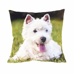 Forbyt Obliečka na vankúš Westík, 40 x 40 cm vyobraziť