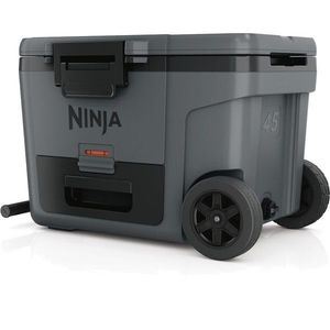 Ninja FB245EUGY chladiaci box Frost Vault Wheeled, 42 l vyobraziť