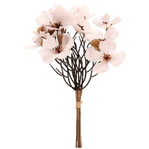 Magnólia biela, 6 vetvičiek vo zväzku, 30 x 43 cm vyobraziť