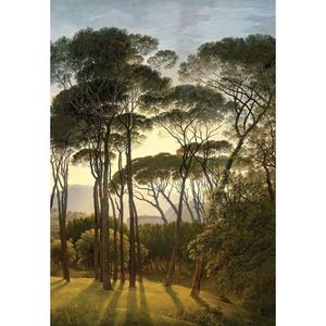 Fototapeta Old Trees 180 x 255 cm, 2 diely vyobraziť