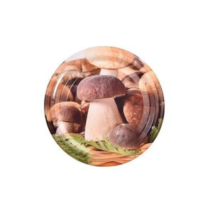 Orion Viečko kov BIO 66 HUBY 10 ks B vyobraziť