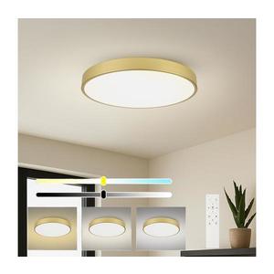Brilagi - LED stmievateľné svietidlo POOL SMART LED/100W/230V 80 cm zlaté Wi-Fi Tuya+DO BRI565 vyobraziť