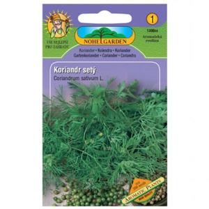 Koriander siaty vyobraziť