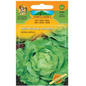 Šalát hlávkový celoročný vyobraziť