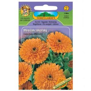 Nechtík lekársky vyobraziť