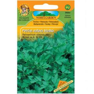 Petržlen vňaťový hladký vyobraziť