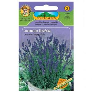Levanduľa lekárska vyobraziť