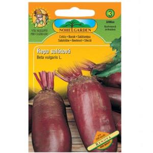 Repa šalátová valcovitá Renova vyobraziť