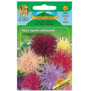 Astra čínska vysoká ihlicovitá Unicum, zmes vyobraziť