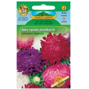 Astra čínska vysoká pivonkovitá, zmes vyobraziť