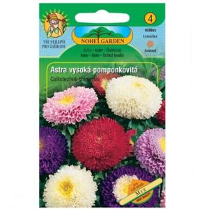 Astra čínska vysoká pomponkovitá, zmes vyobraziť