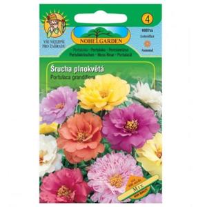 Portulaka veľkokvetá plnokvetá, zmes vyobraziť