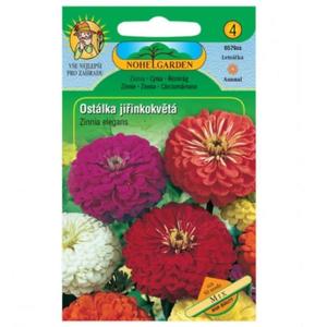 Cínia pôvabná georgínokvetá, zmes vyobraziť
