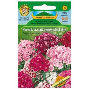 Klinček bradatý vysoký plnokvetý, zmes vyobraziť