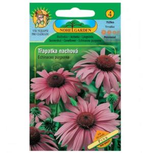 Echinacea purpurová, fialová vyobraziť