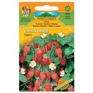 Jahodník mesačný vyobraziť